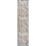 Armae Distressed Medallion Chenille Machine-washable Area Rug
