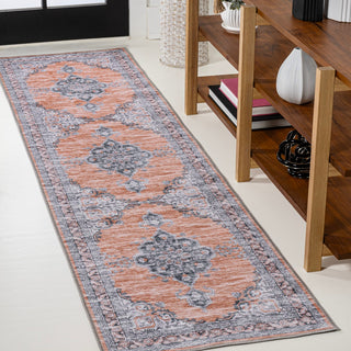Wincer Chenille Cottage Medallion Machine-washable Area Rug