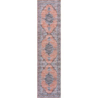 Wincer Chenille Cottage Medallion Machine-washable Area Rug