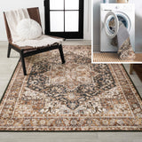 Chapell Chenille Mid-century Medallion Machine-washable Area Rug