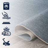 Twyla Classic Solid Low-Pile Machine-Washable Area Rug