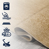 Twyla Classic Solid Low-Pile Machine-Washable Area Rug