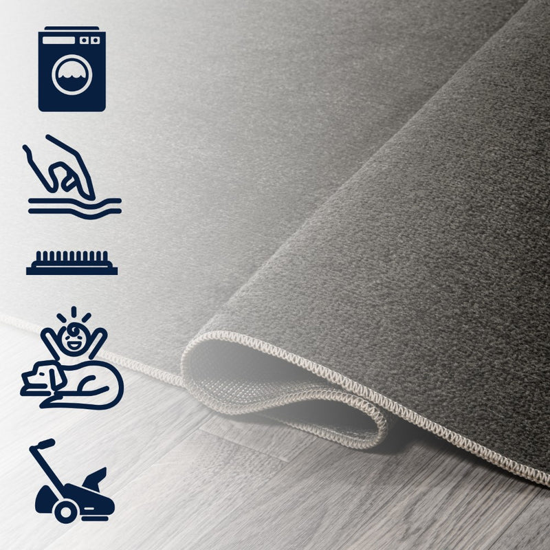 Twyla Classic Solid Low-Pile Machine-Washable Area Rug