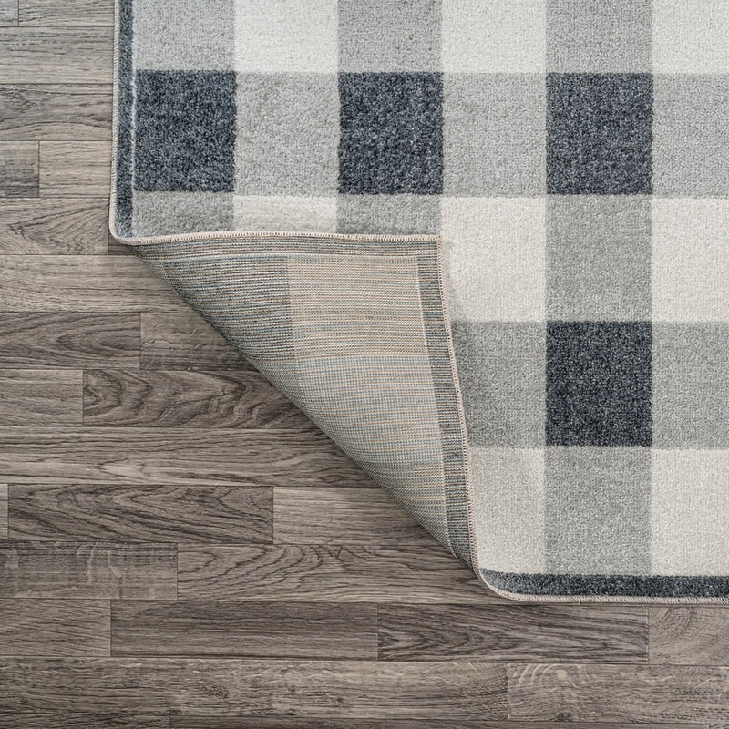 Gingham Gradient Plaid Cottage Machine-washable Area Rug