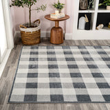 Gingham Gradient Plaid Cottage Machine-washable Area Rug