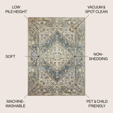 Pavel Distressed Medallion Low-Pile Machine-Washable Area Rug