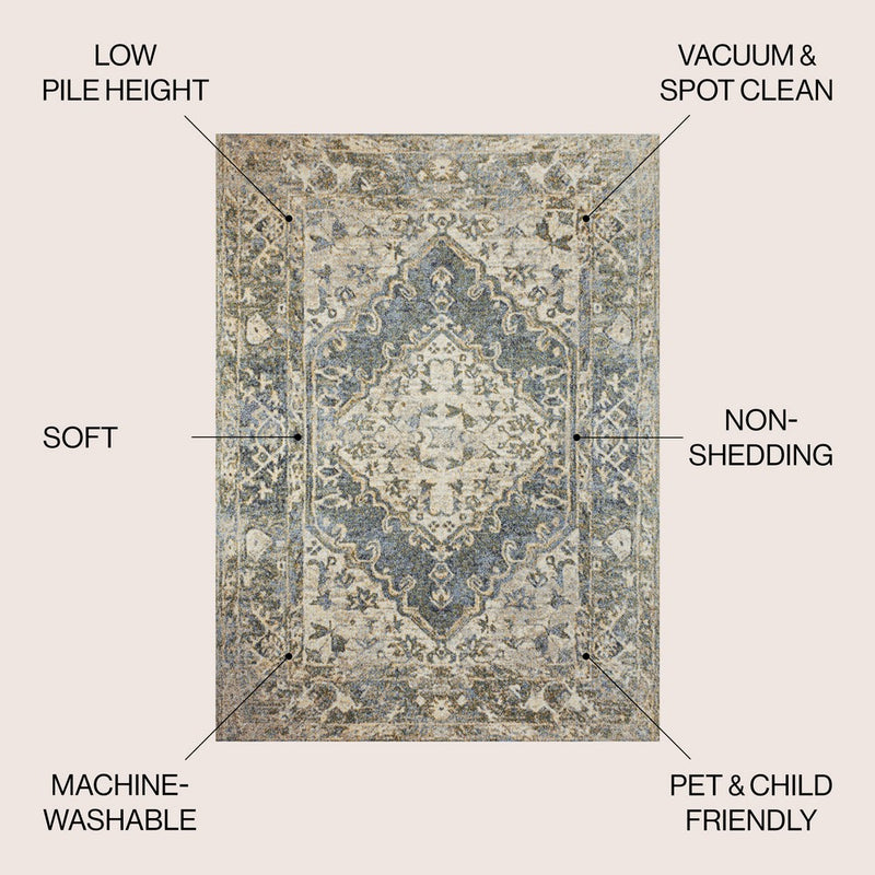 Pavel Distressed Medallion Low-Pile Machine-Washable Area Rug