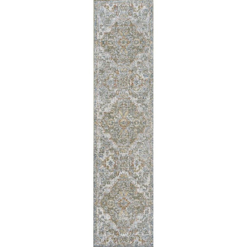 Shaemus Bohemian Medallion Low-Pile Machine-Washable Area Rug