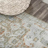 Shaemus Bohemian Medallion Low-Pile Machine-Washable Area Rug