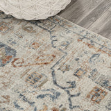 Shaemus Bohemian Medallion Low-Pile Machine-Washable Area Rug