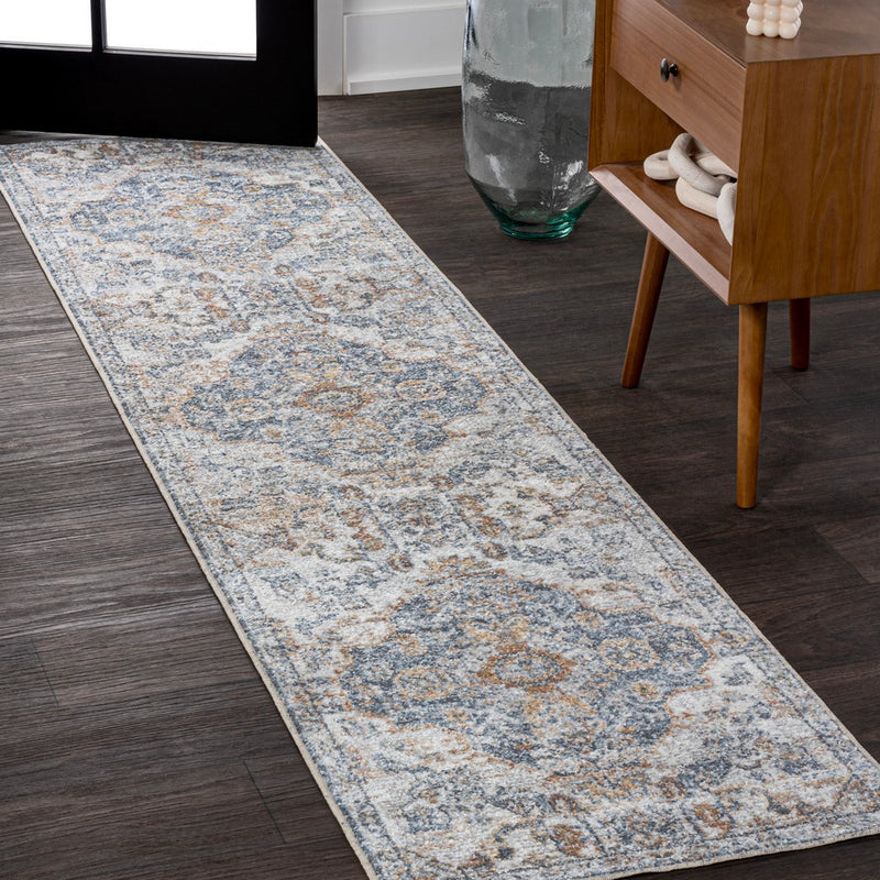 Shaemus Bohemian Medallion Low-Pile Machine-Washable Area Rug