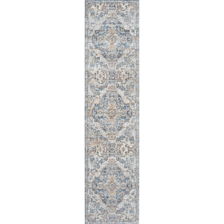 Shaemus Bohemian Medallion Low-Pile Machine-Washable Area Rug