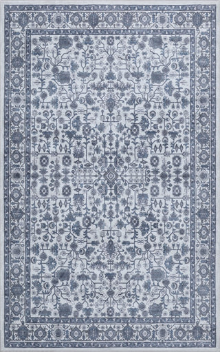 Subtlety Medallion All-over Floral Border Non-slip Machine-washable Area Rug