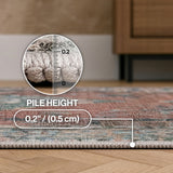 Sersi Ornate Large Medallion Border Non-slip Machine-washable Area Rug