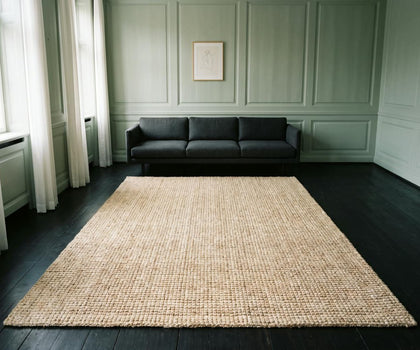 Shop Living Room Rugs