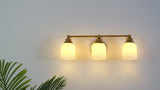 Lydia Iron/Frosted Glass Farmhouse Cottage LED Vanity Light