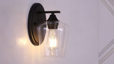 Jayne Iron/Glass Cottage Rustic LED Vanity Light