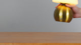 Kanya 7.3 in. Modern Minimalist Metal and Glass Rechargeable Integrated Touch Sensor Dimmable LED Table Lamp