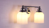 Lydia Iron/Frosted Glass Farmhouse Cottage LED Vanity Light