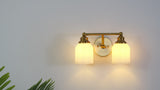 Lydia Iron/Frosted Glass Farmhouse Cottage LED Vanity Light