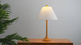 Albie 25" Modern Coastal Iron Column LED Table Lamp, Set of 2