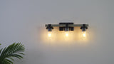 Bungalow Iron/Seeded Glass Rustic Farmhouse LED Vanity Light