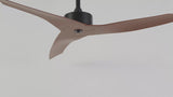 Aldrin 50" Modern Minimalist Iron/Plastic Mobile-App/Remote-Controlled 6-Speed Razor Ceiling Fan
