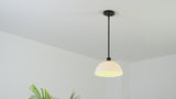 Solene Modern Contemporary Adjustable Metal/Glass Dome LED Pendant