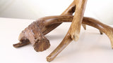 Antler 27.5" Rustic Resin LED Table Lamp