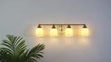 Lydia Iron/Frosted Glass Farmhouse Cottage LED Vanity Light