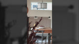 Thatcher 17" Metal LED Pendant Light