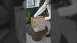 Cleo 21.5" Ceramic/Metal Ginger Jar LED Table Lamp