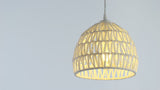 Campana 20" Bohemian Modern Woven Rattan/Iron LED Pendant