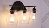 Jayne Iron/Glass Cottage Rustic LED Vanity Light