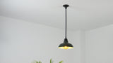 Jasper 12.25" Farmhouse Industrial Indoor/Outdoor Iron LED Pendant