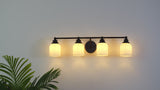 Lydia Iron/Frosted Glass Farmhouse Cottage LED Vanity Light