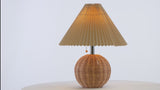 Aksel 17.25" Coastal Scandinavian Resin/Iron Sphere LED Table Lamp with Pleated Shade and Pull Chain