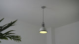 Homer Modern Industrial Iron LED Dome Pendant