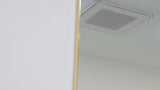 Alfie 20 in. W x 59 in. H Large Rectangular Metal Framed Wall Mounted Full-Length Mirror