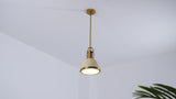 Homer Modern Industrial Iron LED Dome Pendant