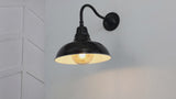 Aurora 12.25" Farmhouse Industrial Indoor/Outdoor Iron LED Gooseneck Arm Outdoor Sconce