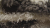Marrakesh Shag Trellis Area Rug