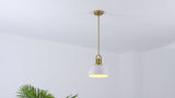 Zane 9.5 in. 1-Light Modern Farmhouse Industrial Metal Dome LED Pendant