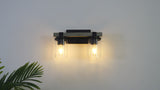 Bungalow Iron/Seeded Glass Rustic Farmhouse LED Vanity Light