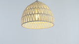 Campana 20" Bohemian Modern Woven Rattan/Iron LED Pendant