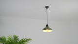 Jasper 12.25" Farmhouse Industrial Indoor/Outdoor Iron LED Pendant