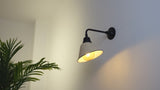 Croydon 9.63"  Farmhouse Industrial Indoor/Outdoor Iron LED Gooseneck Arm Outdoor Sconce