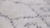 Pia Moroccan Trellis Plush Carved Area Rug
