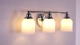 Lydia Iron/Frosted Glass Farmhouse Cottage LED Vanity Light