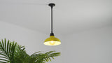 Jasper 12.25" Farmhouse Industrial Indoor/Outdoor Iron LED Pendant